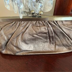 Elegant Metallic Clutch